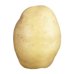 20106716001 en front 250